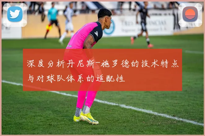 深度分析丹尼斯-施罗德的技术特点与对球队体系的适配性